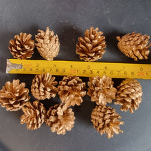 Load image into Gallery viewer, Pack Of 12 Gold Christmas Pine Cones For Decoration Or Craft