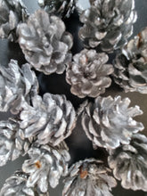 Load image into Gallery viewer, Pack Of 12 Silver Christmas Pine Cones For Decoration Or Craft