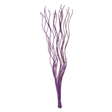 Load image into Gallery viewer, Purple decorative spiral twigs on a white background