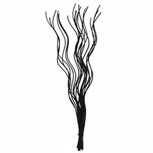 Load image into Gallery viewer, black decorative spiral twigs against a white background