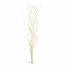 Load image into Gallery viewer, cream spiral twigs bunch against a white background