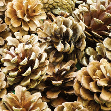 Load image into Gallery viewer, Pack Of 12 Gold Christmas Pine Cones For Decoration Or Craft