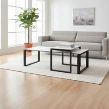 Load image into Gallery viewer, Modern living room with a gray sectional sofa, coffee table, and decorative elements.