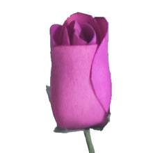 Load image into Gallery viewer, Single Wooden Rose Bud in Cellophane and Ribbon - Choose from 20 Colours