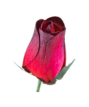 Load image into Gallery viewer, Bouquet of 100 Mixed Bright Colours Wooden Roses - Choose Your Own Colours