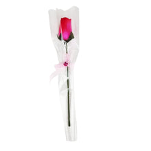 Load image into Gallery viewer, Single Wooden Rose Bud in Cellophane and Ribbon - Choose from 20 Colours