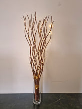 Load image into Gallery viewer, Spiral Willow Twig Branch Lights – 80cm Decorative LED Table Light Twigs for Vase Display
