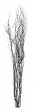 Load image into Gallery viewer, Contorted Twisted Willow Twigs Bunch For Floor Standing Vases And Displays 120cm Tall in Black, Cream , Brown, Silver Or Gold
