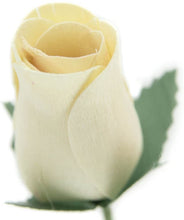 Load image into Gallery viewer, Single Wooden Rose Bud in Cellophane and Ribbon - Choose from 20 Colours