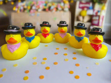 Load image into Gallery viewer, Cowboy Ducks, Set of 6 Rubber Rodeo Cowboy Ducks. 'Cowboy Ducks' from Ducks in Disguise