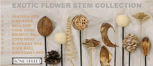 Load image into Gallery viewer, Mahogany Pod Exotic Wooden Flower Bunch In Brown 7 Stems 48cm