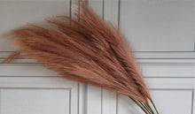 Load image into Gallery viewer, Large Faux Pampas Grass 6 Stems 115cm Tall Fluffy Artificial Dried Flower Décor Many Colours