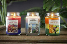 Load image into Gallery viewer, Trio Scent 15oz Layered Jar Candle in 3 Fragrances - Zesty Citrus, Berry Desserts, or Coastal Calm