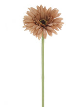 Load image into Gallery viewer, Small Head Silk Gerbera Flower Stem Quality Artificial Flowers 55cm