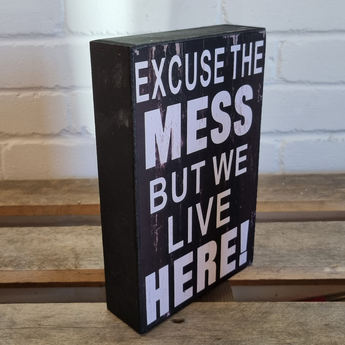 Excuse the Mess But We Live Here Message Block, 25x16x5cm
