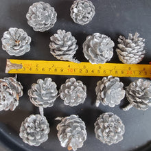 Load image into Gallery viewer, Pack Of 12 Silver Christmas Pine Cones For Decoration Or Craft
