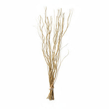 Load image into Gallery viewer, Bunch of dried gold willow branches on a white background
