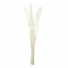 Load image into Gallery viewer, Bunch of cream willow twig sticks on a white background
