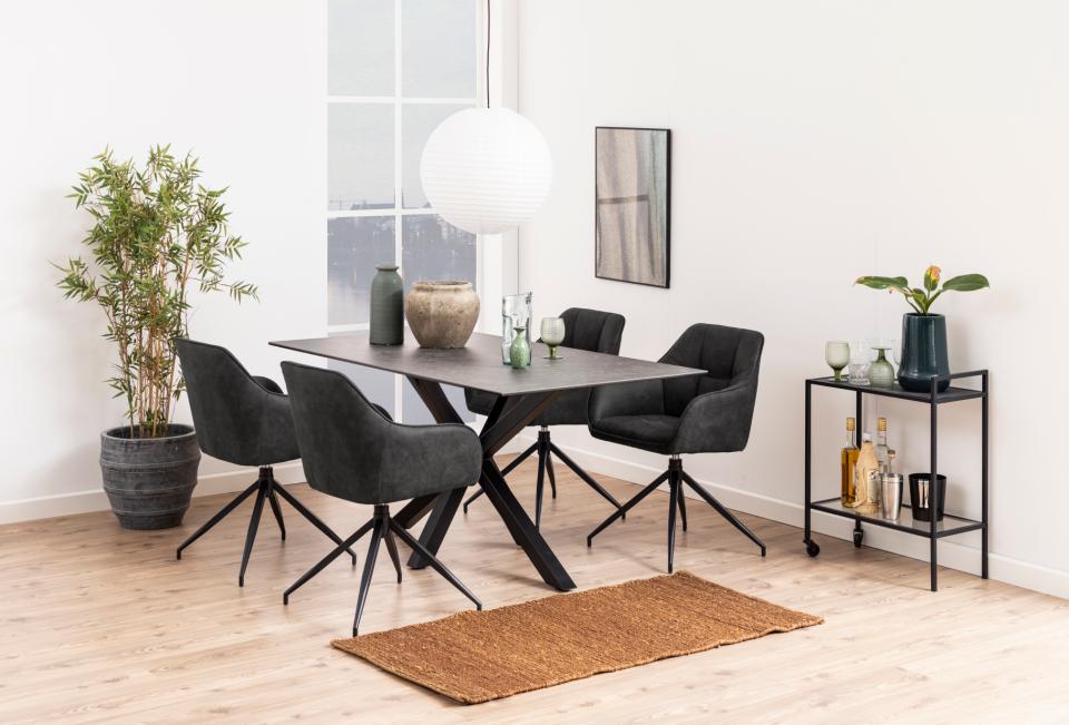 Modern dining room with a black dining table and chairs, plants, and a rug.