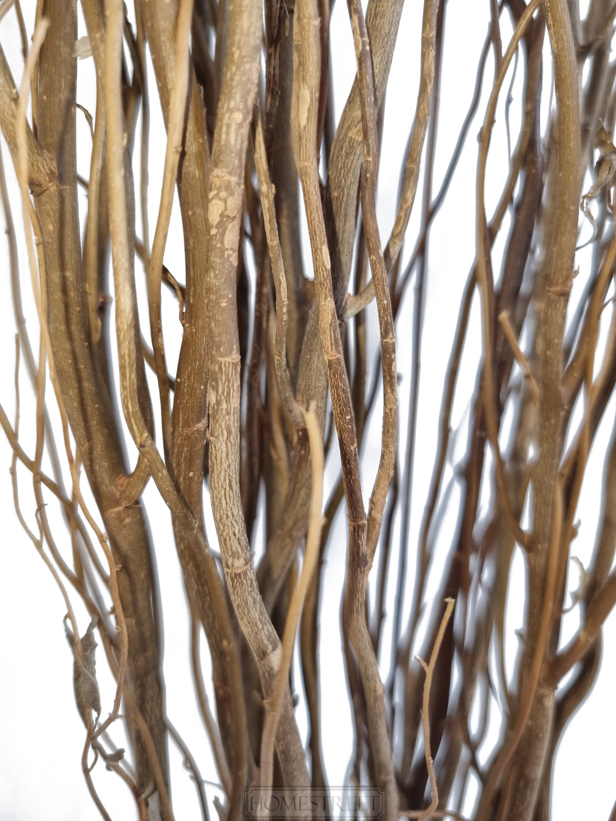 a close up of the brown willow twig bunches on a white background