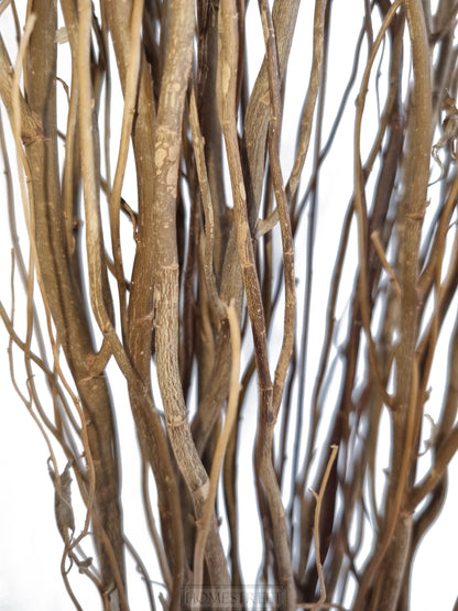a close up of the brown willow twig bunches on a white background