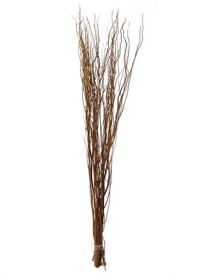 Contorted Twisted Willow Twigs Bunch For Floor Standing Vases And Displays 120cm Tall in Black, Cream , Brown, Silver Or Gold
