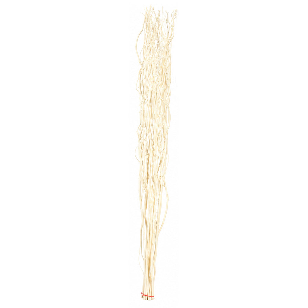 A bundle of long, thin, wavy strands in a warm cream or light tan color, gathered together at the bottom with a small red tie, shown against a plain white background.