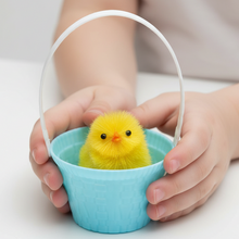 Load image into Gallery viewer, 6 Mini Easter Baskets In Pastel Colours For Small Eggs, Collecting Or Display
