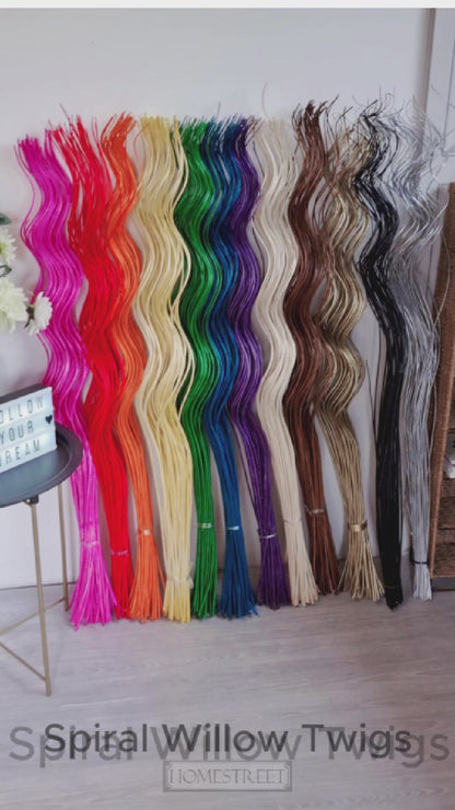Tall Spiral Willow Twigs Bunch For Floor Standing Vases Home Decor 120cm 40 Twigs