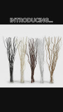 Load and play video in Gallery viewer, Willow Twigs Bunch 80-85cm Contorted Twisted Natural Branches Table Top Decor
