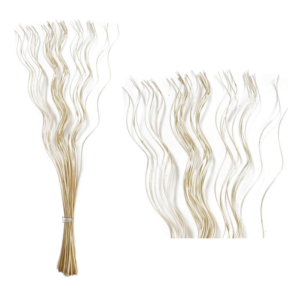 A cream willow twig bunch with a spiral shape 120cm tall next to a close up of the top of the twigs all on a white background