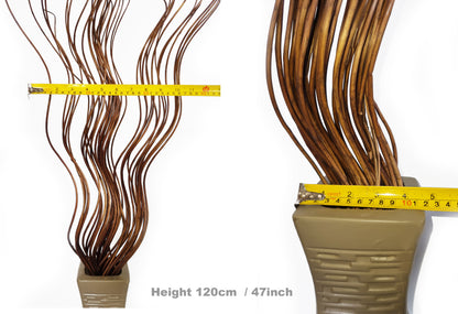 A decorative bunch of spiral willow twigs in a textured beige vase, shown on a white background with a yellow tape measure and text reading 'Height 120cm / 47inch'.