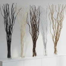 Load image into Gallery viewer, Five vases with different colored branches on a white surface
