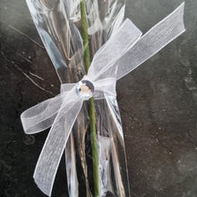 Load image into Gallery viewer, Single Wooden Rose Bud in Cellophane and Ribbon - Choose from 20 Colours
