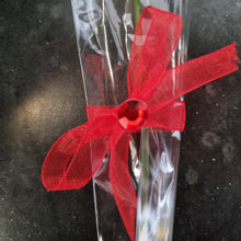Load image into Gallery viewer, Single Wooden Rose Bud in Cellophane and Ribbon - Choose from 20 Colours
