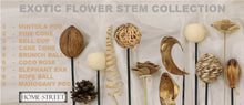 Load image into Gallery viewer, Elephant Ears Exotic Wooden Flower Bunch In Gold Black 5 Stems 47cm
