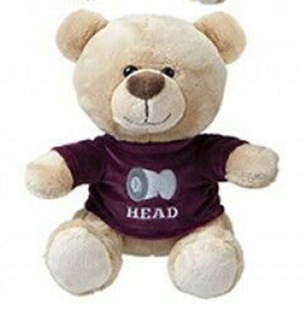 Adult Bad Manners Bear with Rude Slogan T shirt. 25cm Cute Teddy Bear with Naughty Words