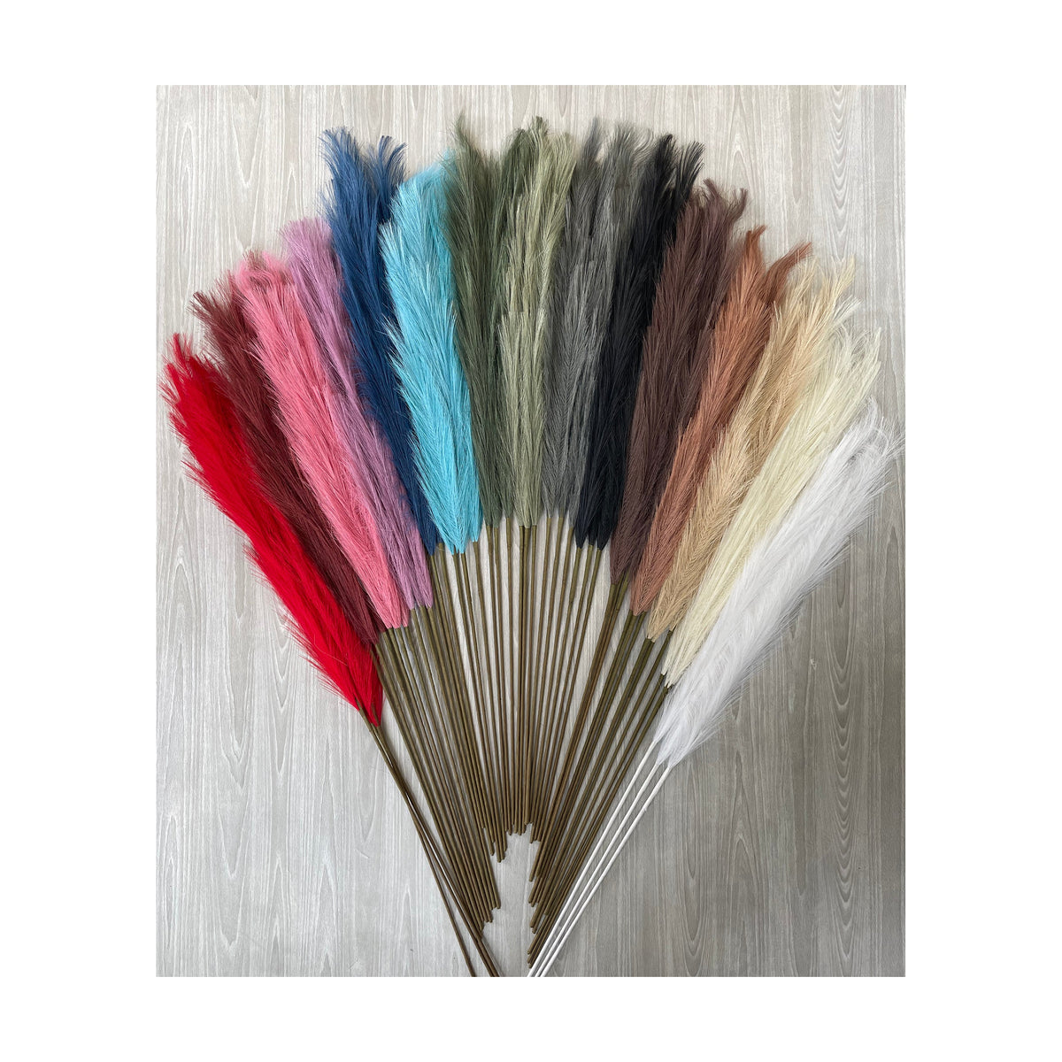 A selection of single stems with fluffy artificial pampas grass in various colors, arranged in a fan-like display.