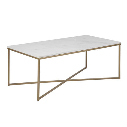 Alisma Rectangle Marble Coffee Table With Brass Base 120 x 60 cm