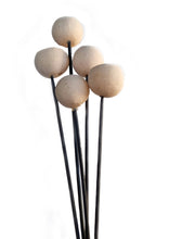 Load image into Gallery viewer, Bell Cup Exotic Wooden Flower Bunch In Natural 5 Stems 43cm
