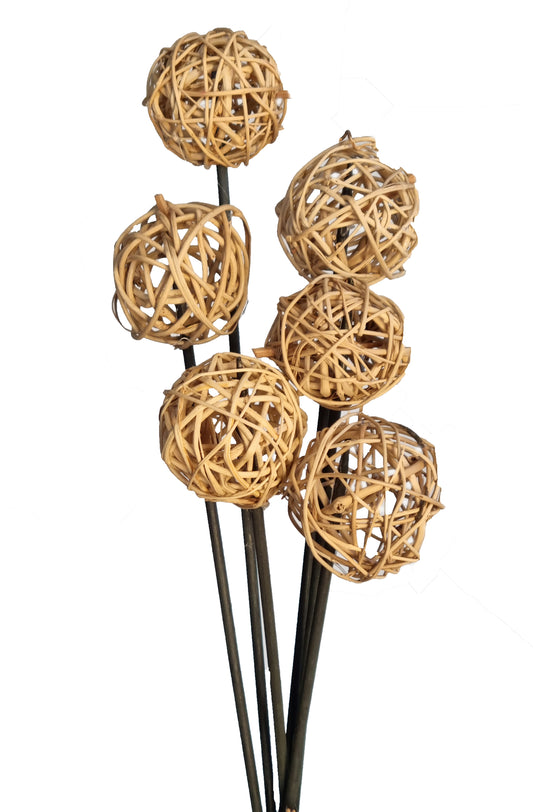 Brunch Ball Exotic Wooden Flower Bunch In Natural Brown 6 Stems 43cm