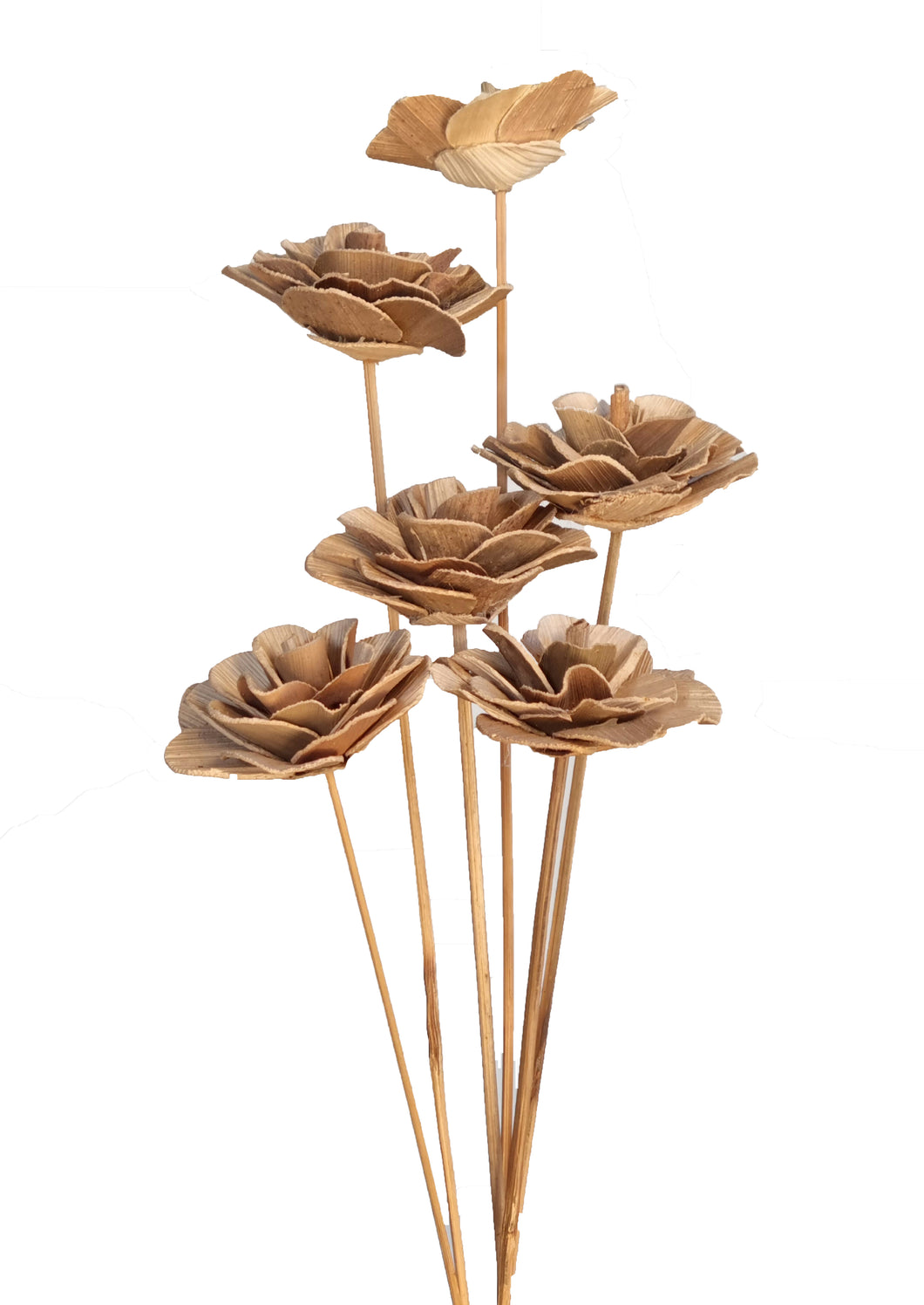 Coco Rose Exotic Wooden Flower Bunch In Natural Brown 6 Stems 43cm