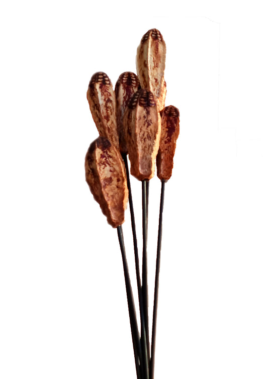 Mahogany Pod Exotic Wooden Flower Bunch In Brown 7 Stems 48cm