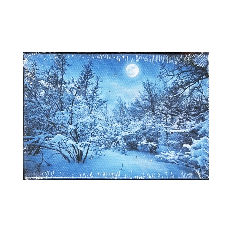 Mini LED Light Up Christmas Hanging Or Standing Canvas Picture 15x10cm Winter Forest Snow Scene