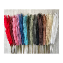 Load image into Gallery viewer, artificial pampas grass stems in multiple colours
