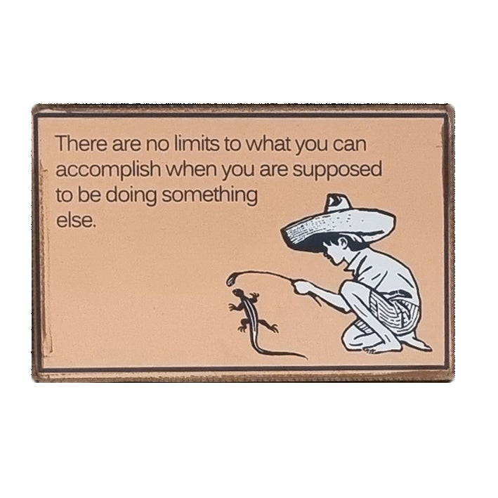 Funny Gift Message Plaque, There Are No Limits To What You Can Accomplish 25x16cm