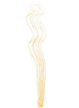 Load image into Gallery viewer, Tall Spiral Willow Twigs Bunch For Floor Standing Vases And Displays 120cm 40 Twigs
