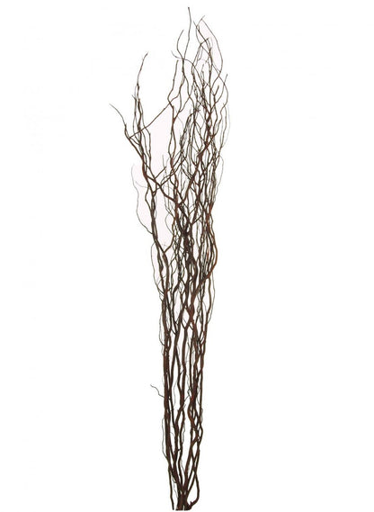 a bunch of brown willow twigs on a white background