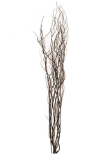 Load image into Gallery viewer, Contorted Twisted Willow Twigs Bunch For Floor Standing Vases And Displays 115cm Tall in Black, Cream , Brown, Silver Or Gold
