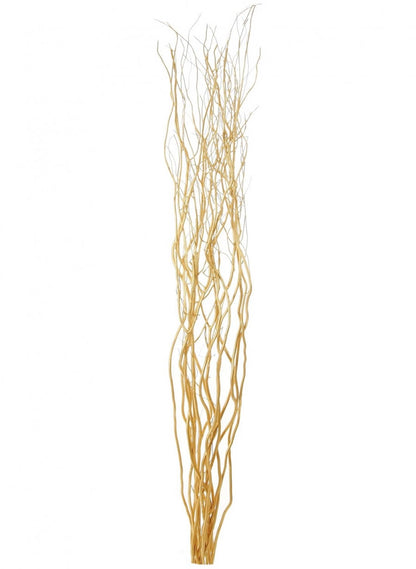 a bunch of gold willow twigs on a white background